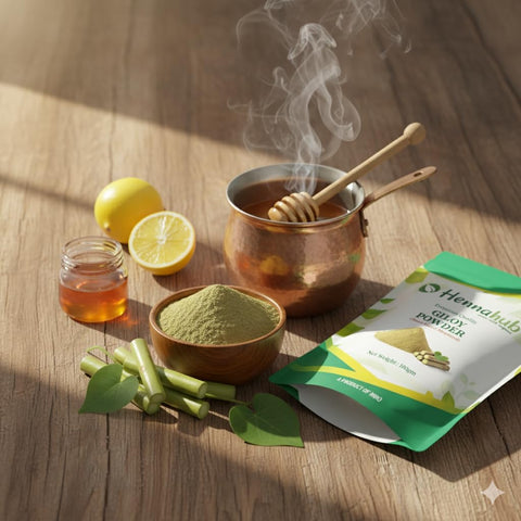 Hennahub Giloy Powder (Food Grade) 100gm Pack | Pure Tinospora cordifolia Stem Powder | Traditional Ingredient for Herbal Drinks, Smoothies & Kadha