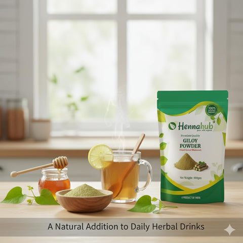 Hennahub Giloy Powder (Food Grade) 100gm Pack | Pure Tinospora cordifolia Stem Powder | Traditional Ingredient for Herbal Drinks, Smoothies & Kadha